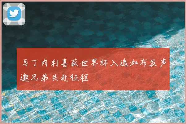 马丁内利喜获世界杯入选加布发声邀兄弟共赴征程