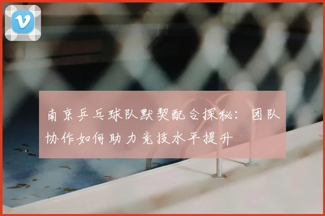 南京乒乓球队默契配合探秘:团队协作如何助力竞技水平提升