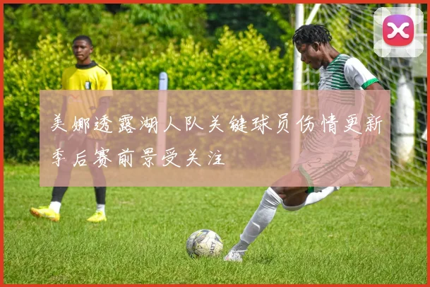 美娜透露湖人队关键球员伤情更新季后赛前景受关注