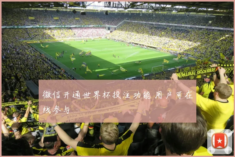 微信开通世界杯投注功能 用户可在线参与