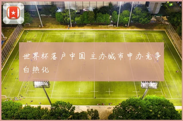 世界杯落户中国 主办城市申办竞争白热化