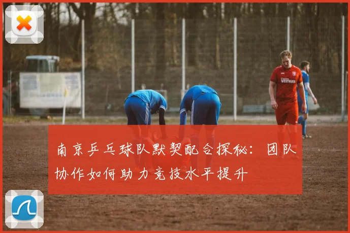 南京乒乓球队默契配合探秘:团队协作如何助力竞技水平提升