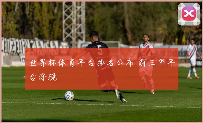 世界杯体育平台排名公布 前三甲平台浮现