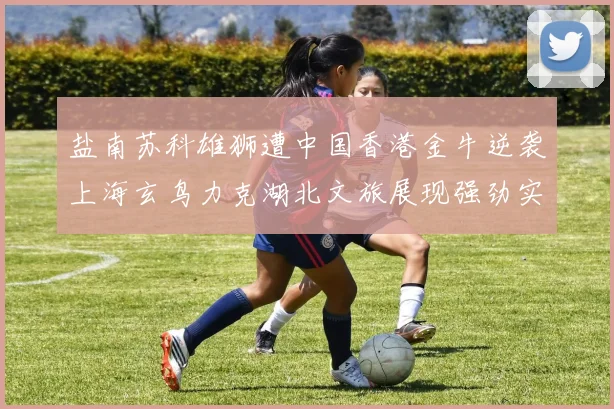 盐南苏科雄狮遭中国香港金牛逆袭上海玄鸟力克湖北文旅展现强劲实力