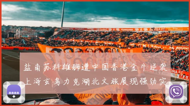 盐南苏科雄狮遭中国香港金牛逆袭上海玄鸟力克湖北文旅展现强劲实力