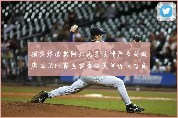 宿茂臻透露阿尔瓦罗伤情严重或缺席玉昆比赛克雷桑恢复训练状态良好