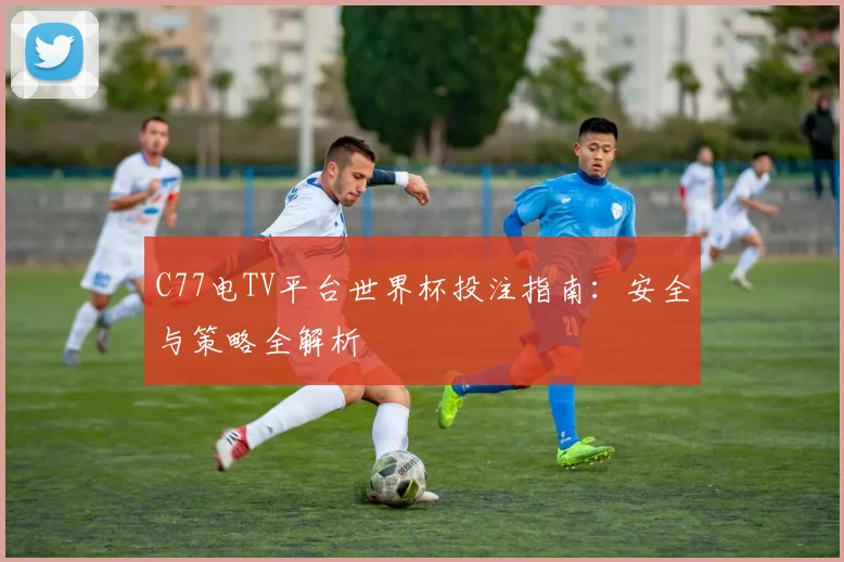 C77电TV平台世界杯投注指南：安全与策略全解析