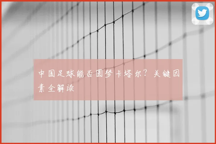 中国足球能否圆梦卡塔尔?关键因素全解读
