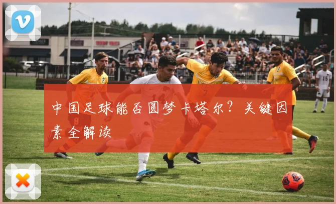中国足球能否圆梦卡塔尔?关键因素全解读