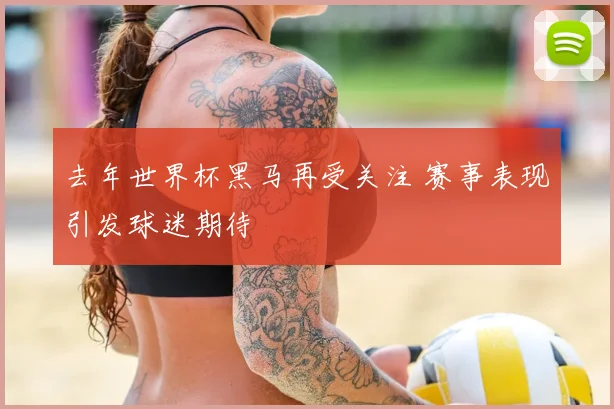 去年世界杯黑马再受关注 赛事表现引发球迷期待