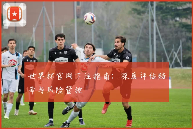 世界杯官网下注指南：深度评估赔率与风险管控