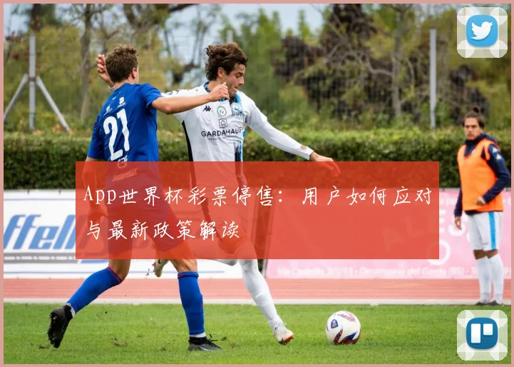 App世界杯彩票停售:用户如何应对与最新政策解读